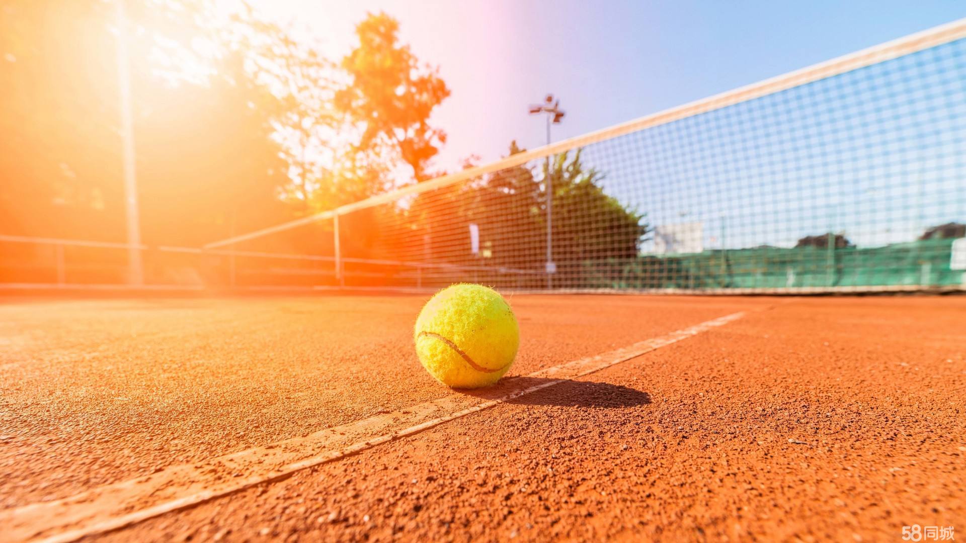 表情扭曲 表情扭曲