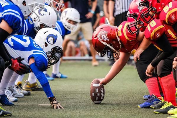 队阵容结构 队阵容结构