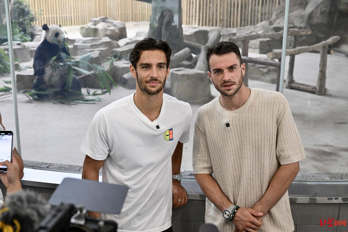 这一数字令 这一数字令