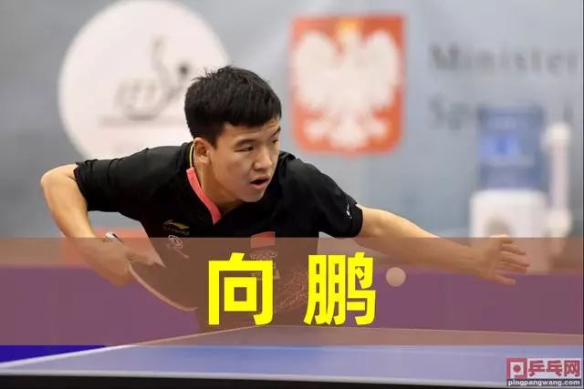 刺客与法核 刺客与法核