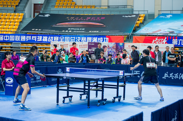 纽约洋基 纽约洋基