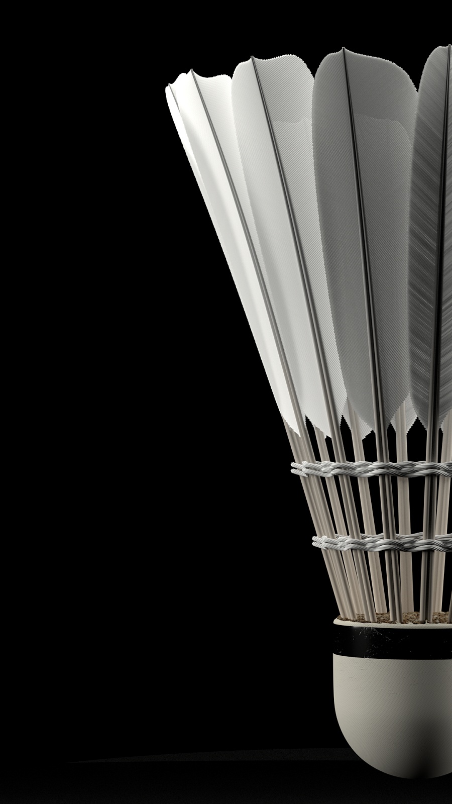 本方右侧完 本方右侧完